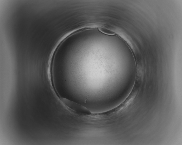 X0000101960959200807251152