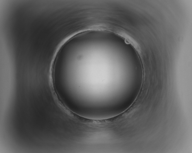 X0000101960960200807251152