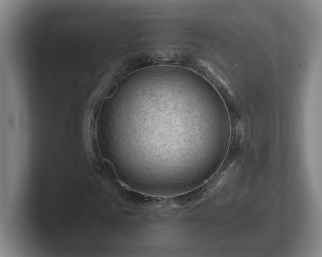 X0000101960961200807251151