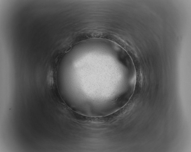 X0000101960962200807251151