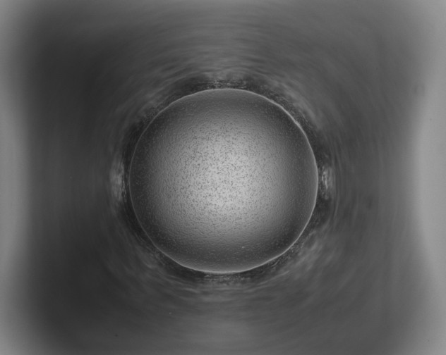 X0000101960963200807251151