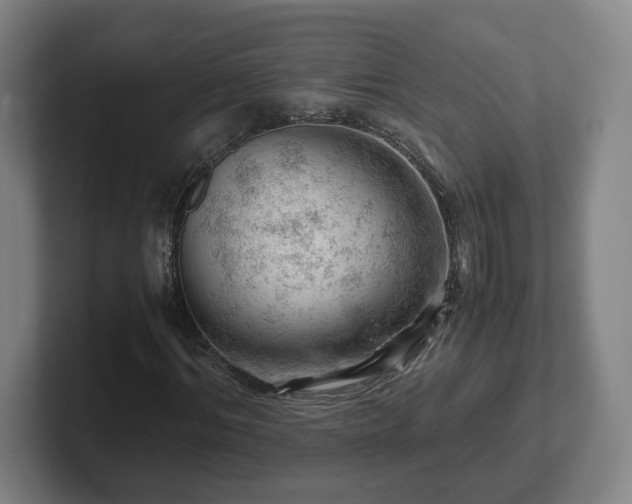 X0000101960964200807251151