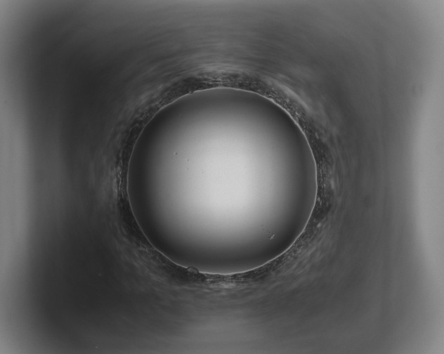 X0000101960965200807251151