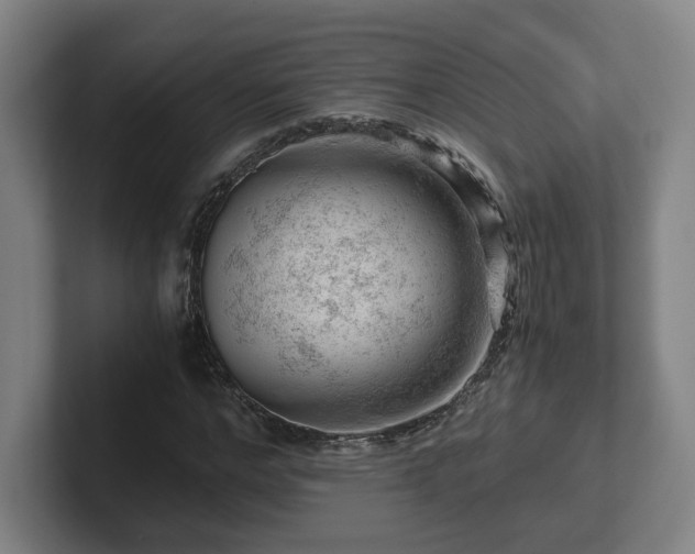 X0000101960968200807251151