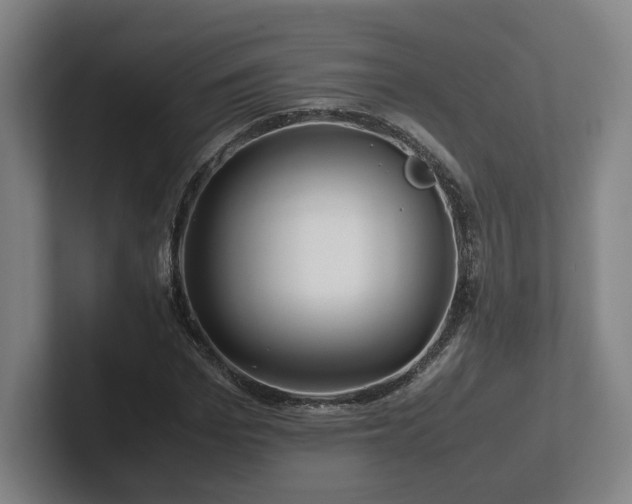 X0000101960969200807251151