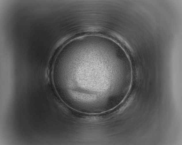 X0000101960970200807251151