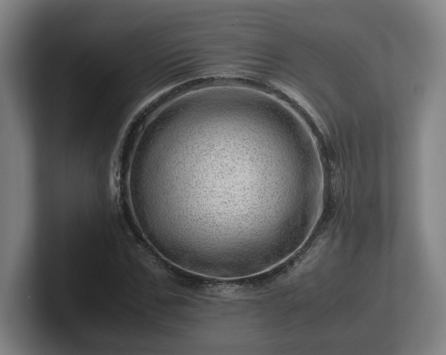 X0000101960971200807251151