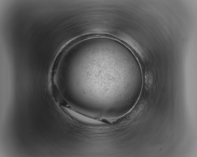 X0000101960972200807251151