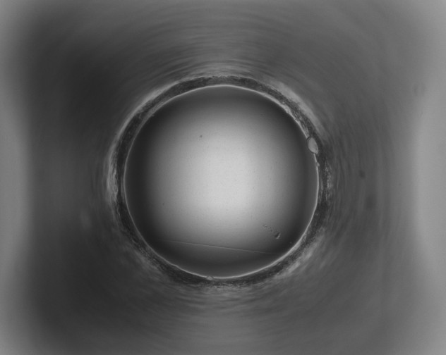 X0000101960973200807251151