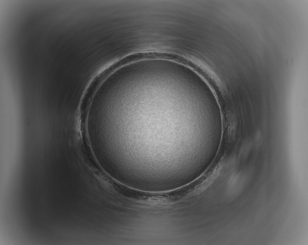 X0000101960974200807251151