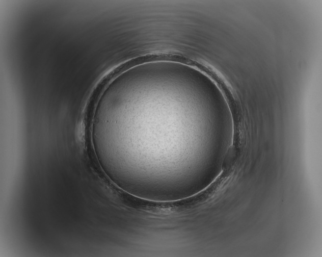 X0000101960975200807251151