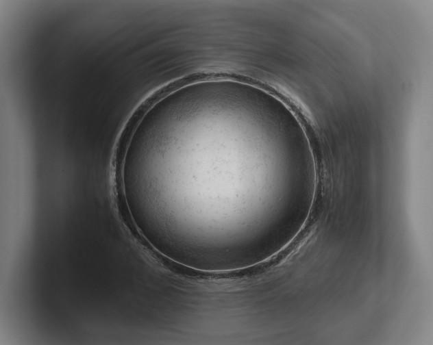 X0000101960976200807251151