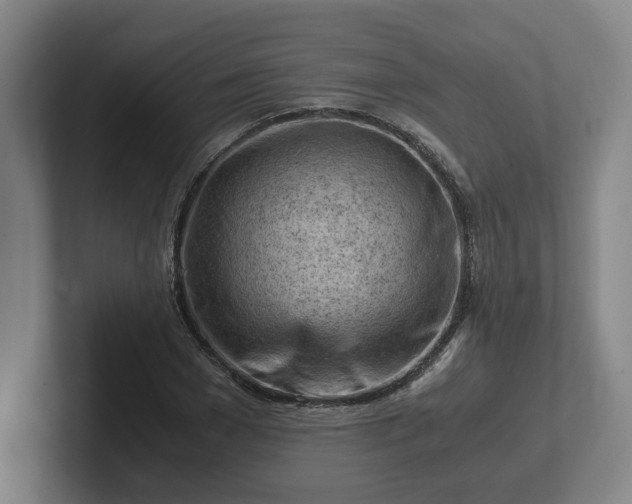 X0000101960977200807251151