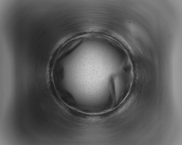 X0000101960978200807251151