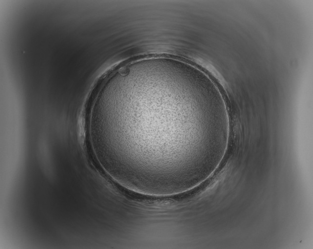 X0000101960979200807251151