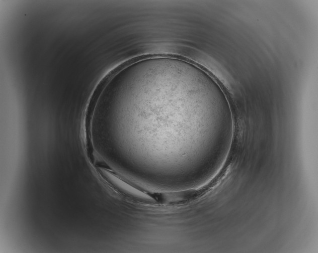 X0000101960980200807251151