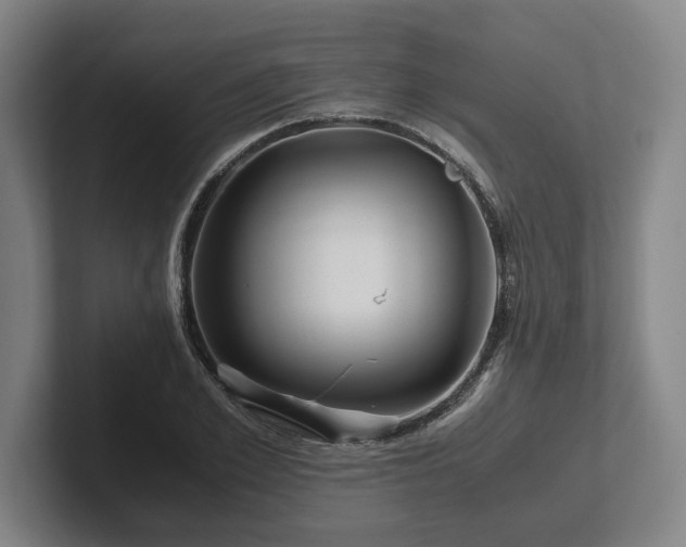 X0000101960981200807251151