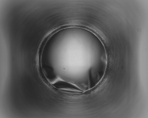 X0000101960982200807251151