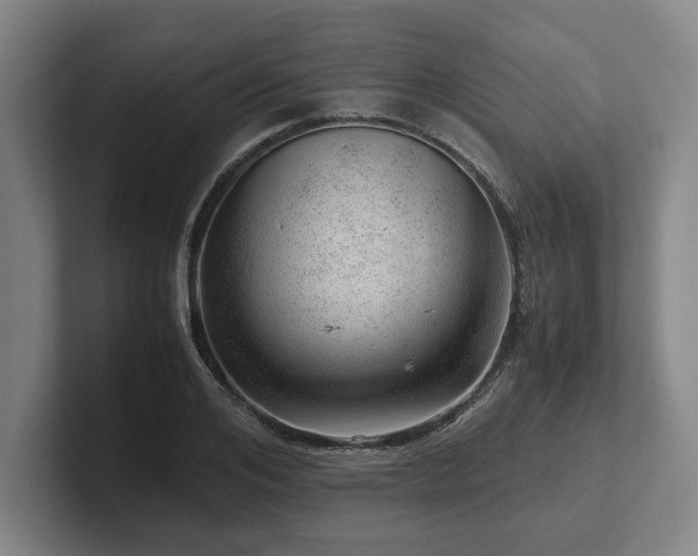 X0000101960984200807251151