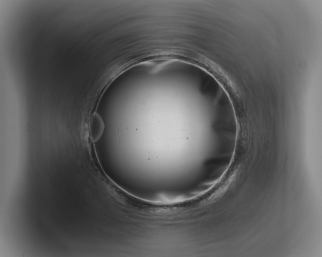 X0000101960985200807251151