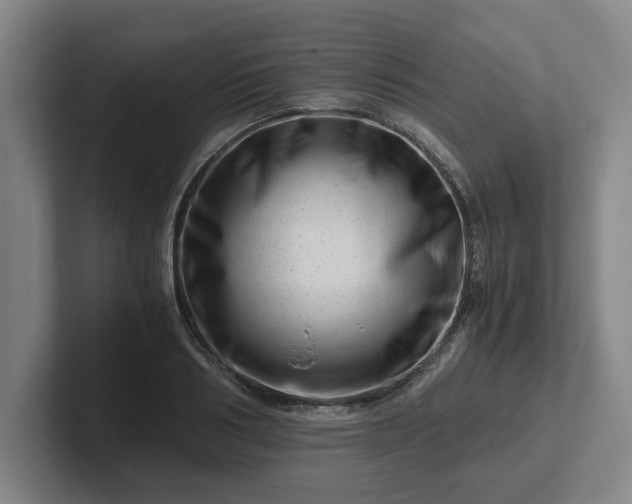 X0000101960986200807251151