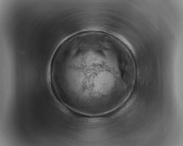 X0000101960988200807251151