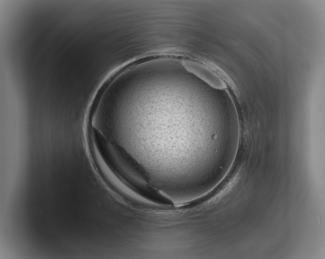 X0000101960989200807251151