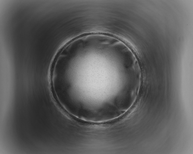 X0000101960990200807251151