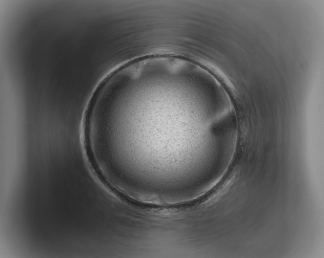 X0000101960991200807251151