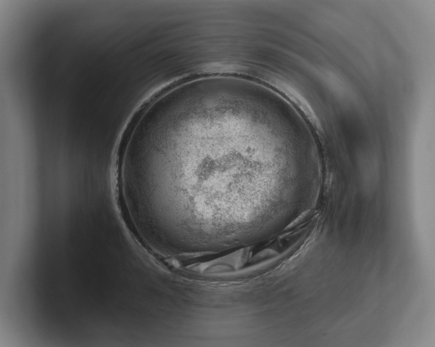 X0000101960992200807251151