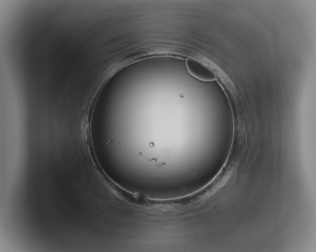 X0000101960993200807251151