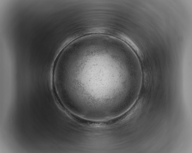 X0000101960994200807251151