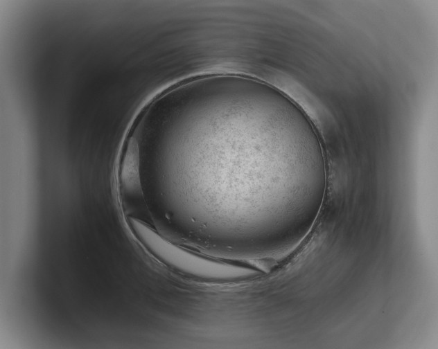 X0000101960996200807251151