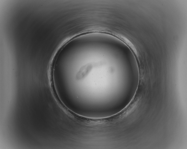 X0000101960997200807251151