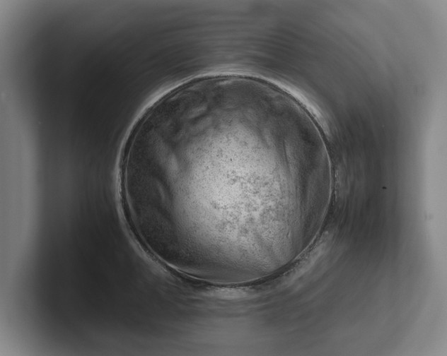 X0000101960998200807251151