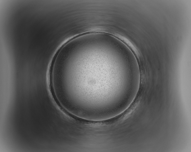 X0000101960999200807251151