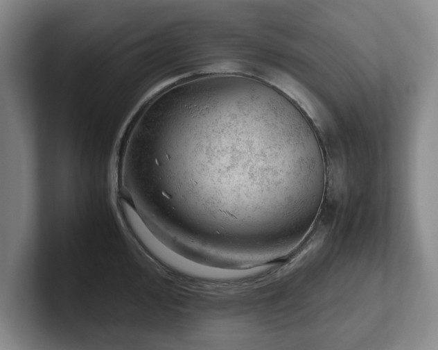 X0000101961000200807251151