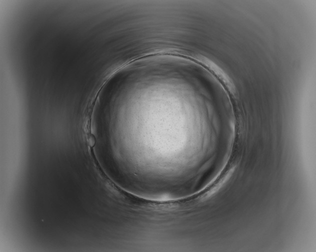 X0000101961001200807251151