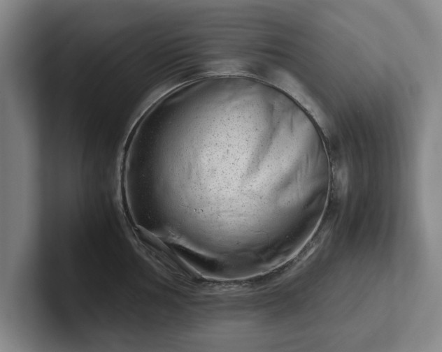 X0000101961002200807251151