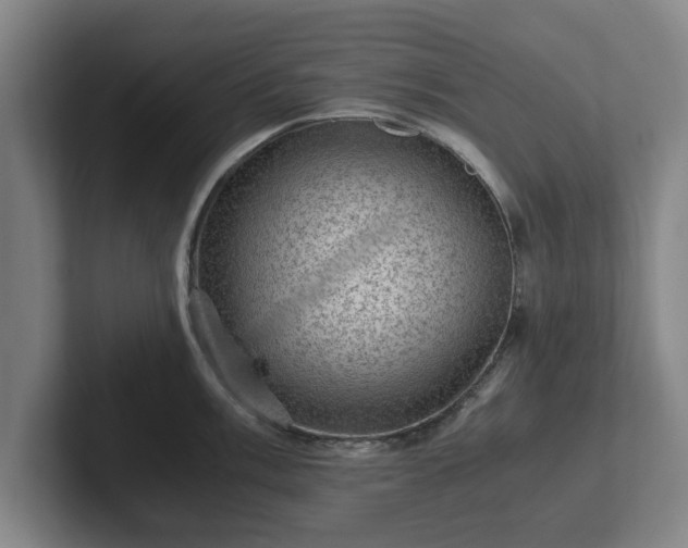 X0000101961003200807251151