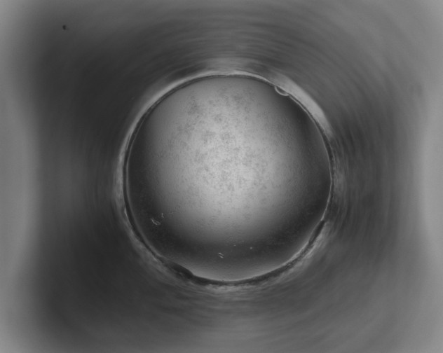 X0000101961004200807251151