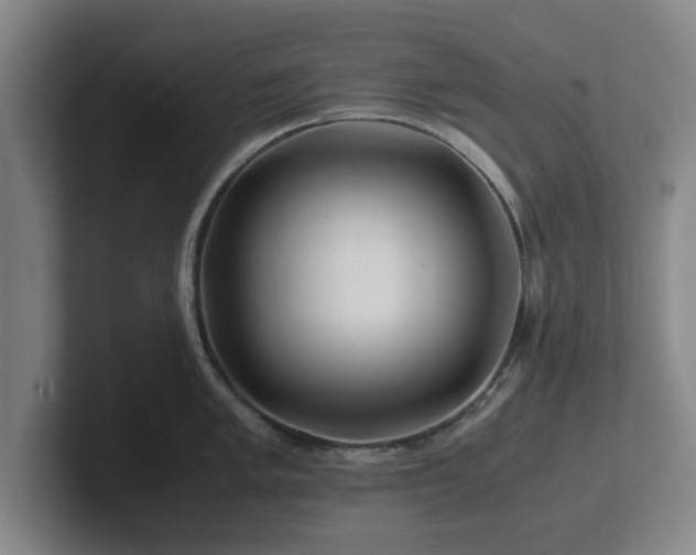 X0000101961005200807251151