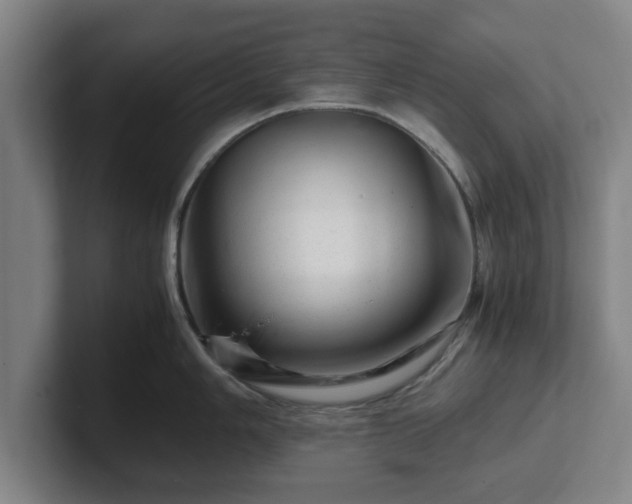 X0000101961006200807251151