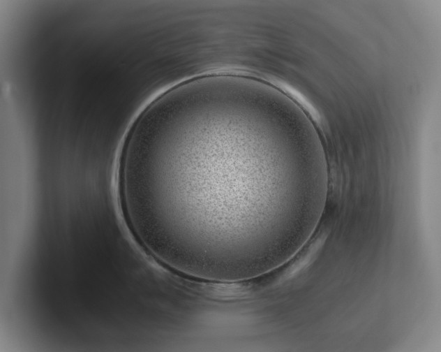 X0000101961007200807251151