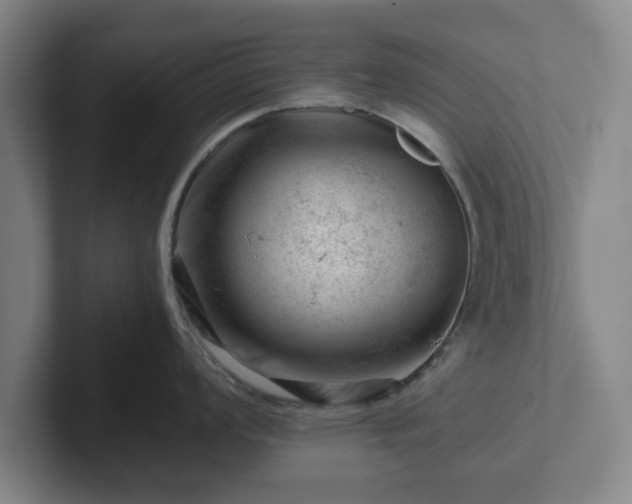 X0000101961008200807251151