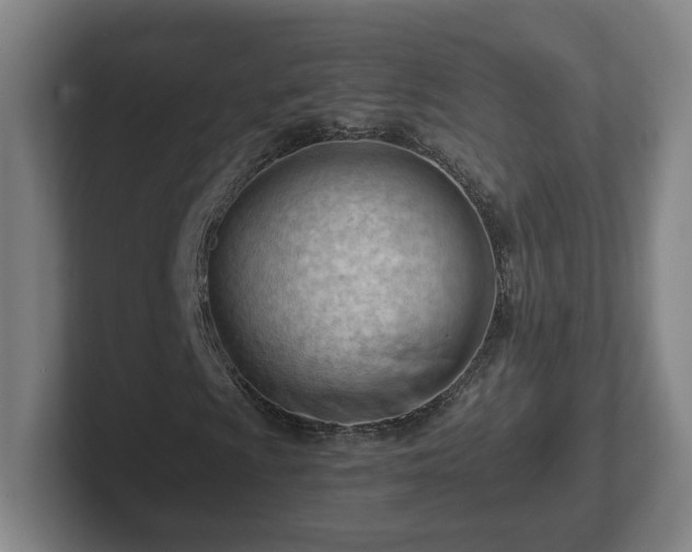 X0000101961009200807251150