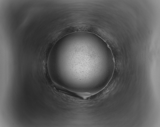 X0000101961010200807251150