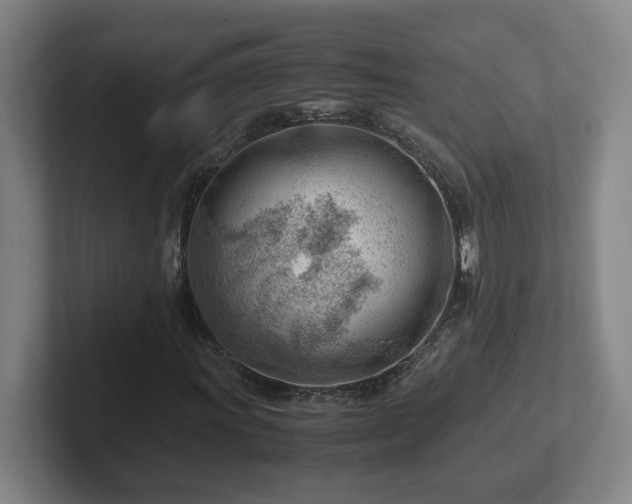 X0000101961011200807251150