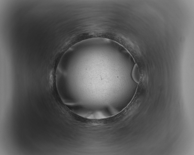 X0000101961012200807251150