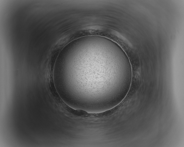 X0000101961014200807251150